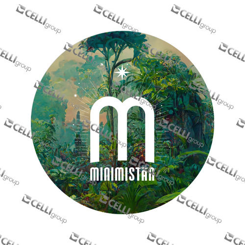 LENTILLE - MINIMISTAN