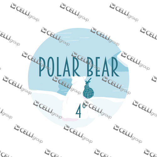 LENTILLE - POLAR BEAR