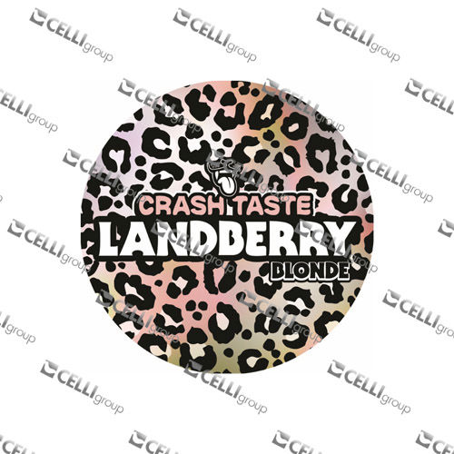 LENTILLE - LADBERRY BLONDE