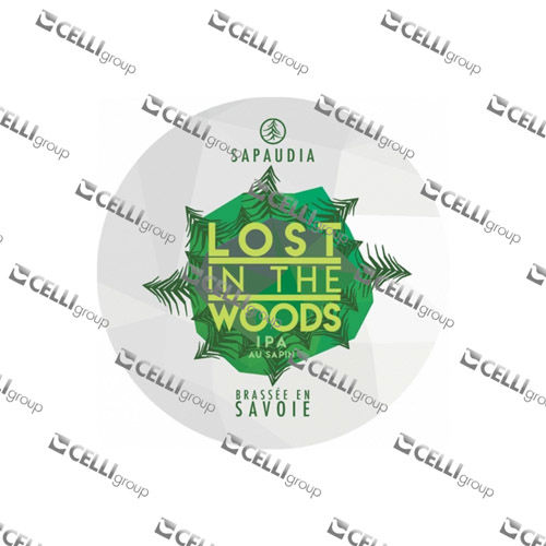 LENTILLE - LOST IN THE WOODS