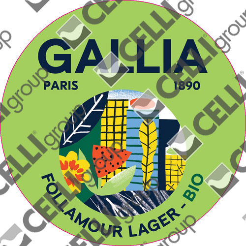 LENTILLE – GALLIA FOLLAMOUR