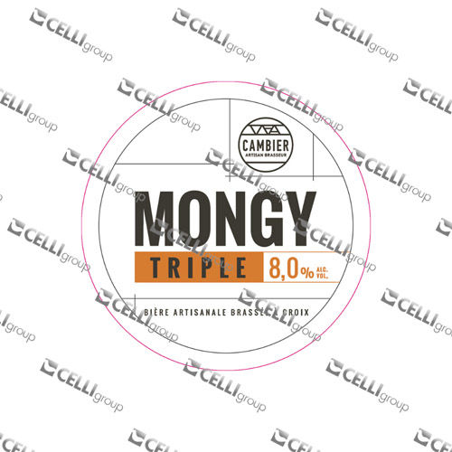 LENTILLE - MONGY TRIPLE