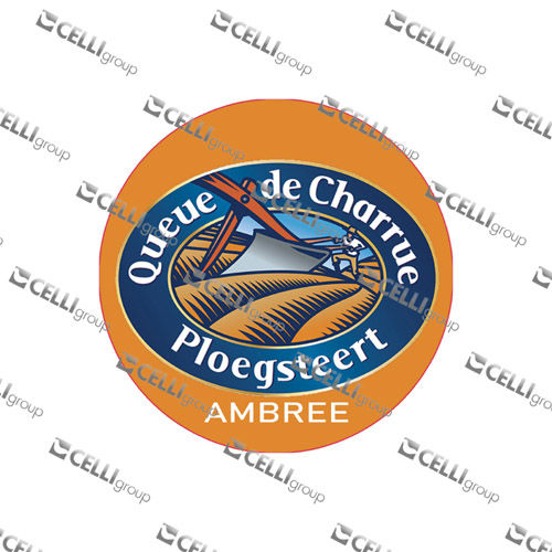 LENTILLE - QUEUE DE CHARRUE AMBREE