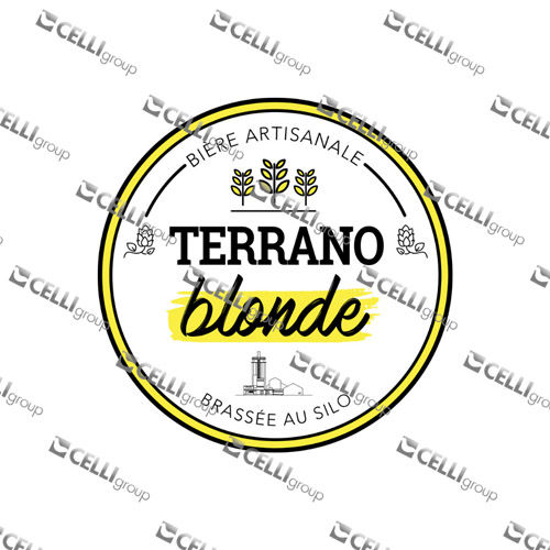 LENTILLE - TERRANO BLONDE