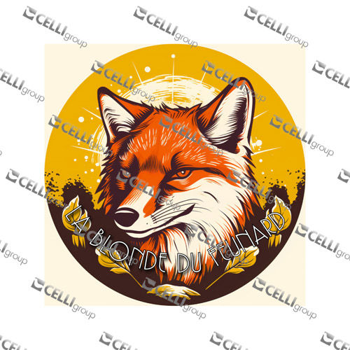 LENTILLE - FEUNARD BLONDE