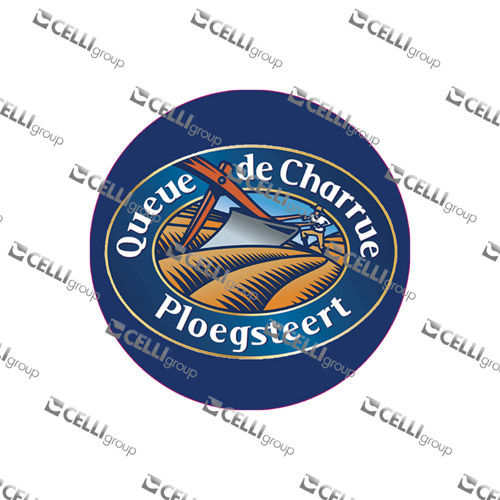 LENTILLE QUEUE DE CHARRUE BLONDE