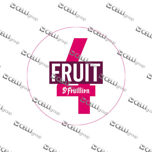 LENTILLE - SAINT FEUILLIEN FRUIT