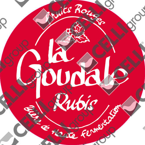 GOUDALE RUBIS CELLI LENS - FRANCE