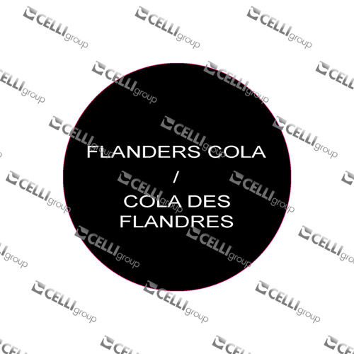LENTILLE - FLANDERS COLA