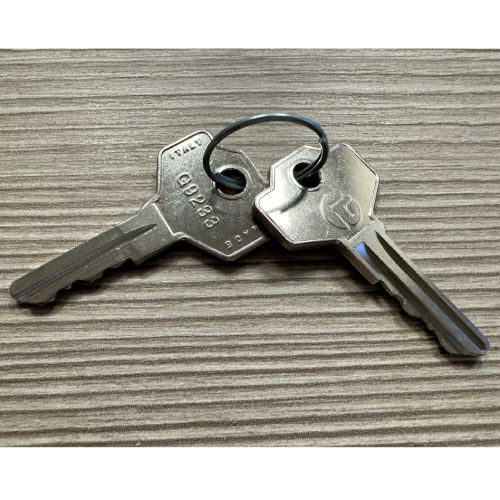 KIT REPLICA N.2 CHIAVI ANELLATE G5 UNIVERSALI CIFRATE G9233