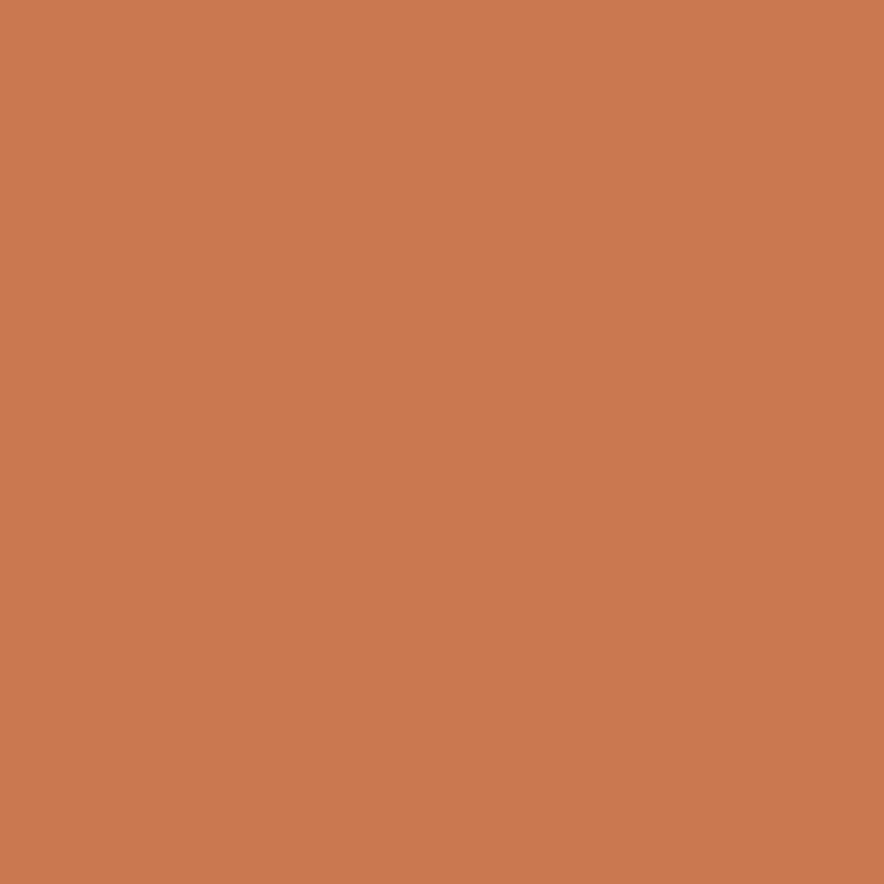 Contreplaqué léger 2440x1220x15 - Terracotta 001 Satiné HPL 2/S