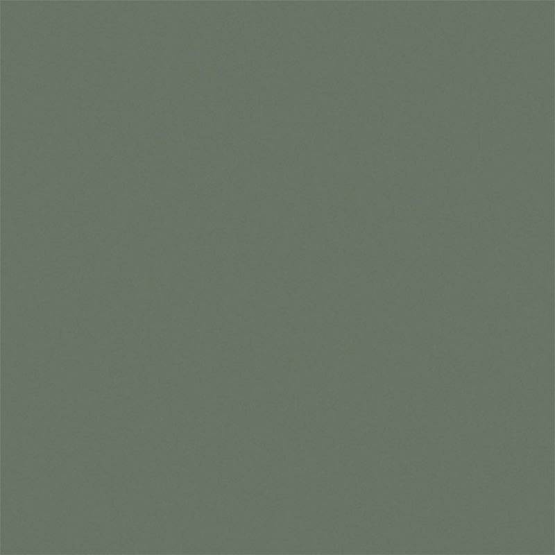 HPL - 3050x1300x0.7 Formica Green Slate F8793 Matte58