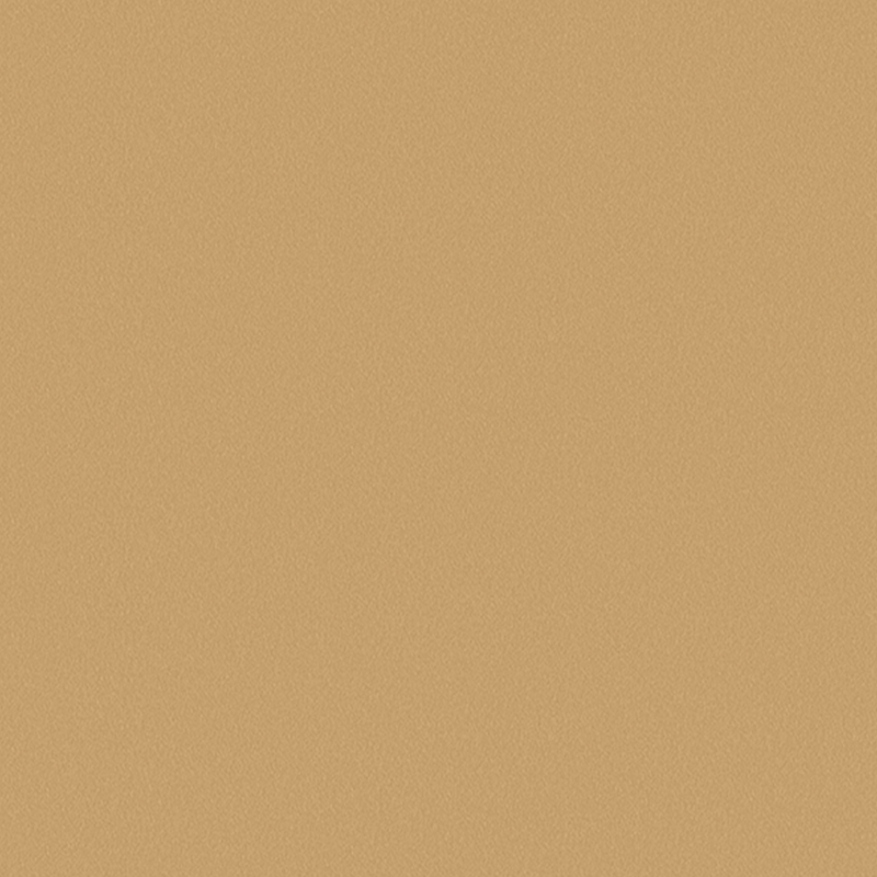 SAMPLE HPL - Egger Golden Brushed Metal F527 ST20