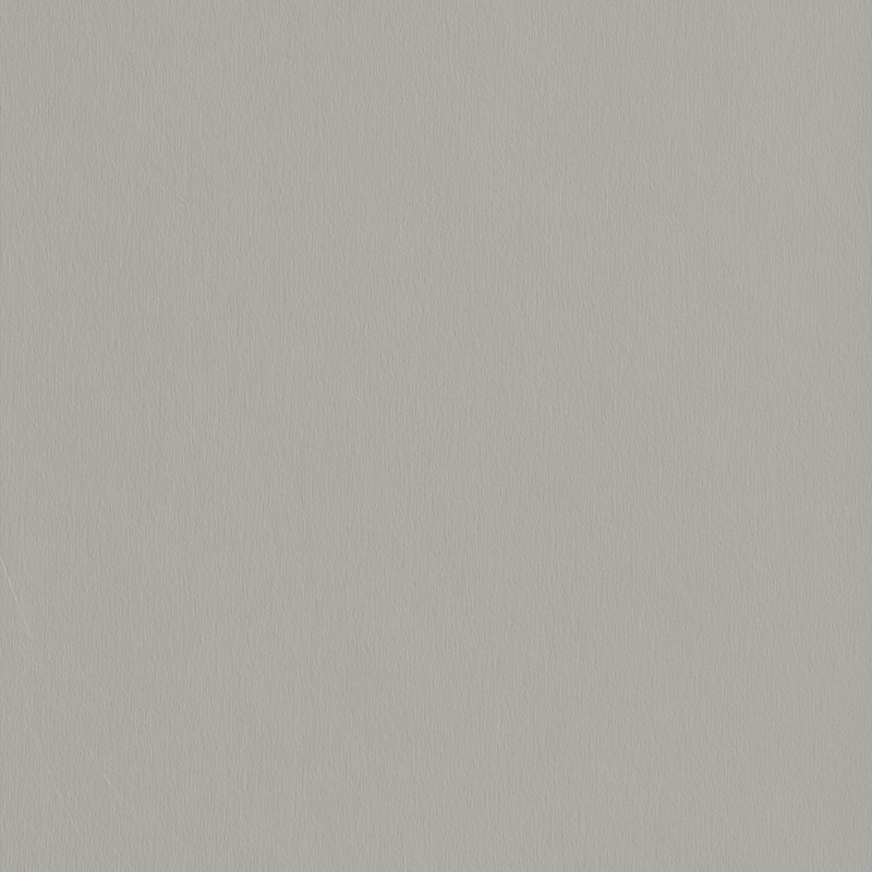 SAMPLE HPL - Egger Brushed Silvergrey F765 ST20