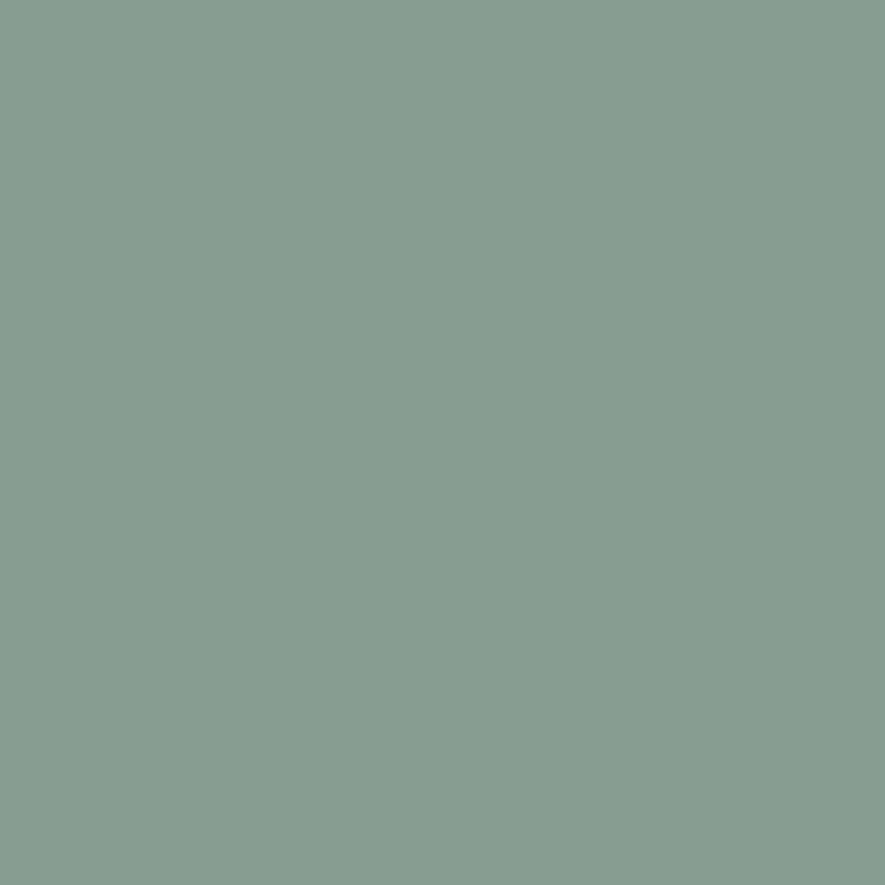 HPL - 3070x1240x0.8 Polyrey V113 Vert Sauge FA PF Grade Color Int