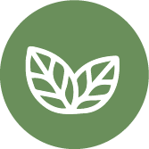 Logo Icona Rainforest Alliance