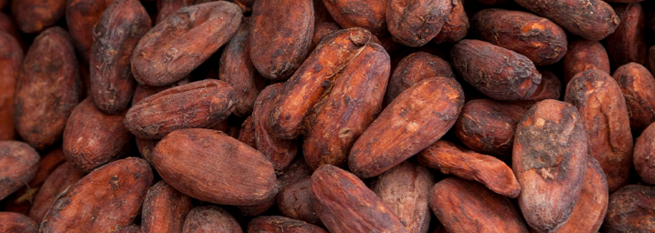 Cacao