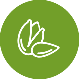 A simple white outline of pistachio nuts on a green circular background.
