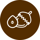 An icon featuring a stylized acorn and a seed, set against a brown circular background.