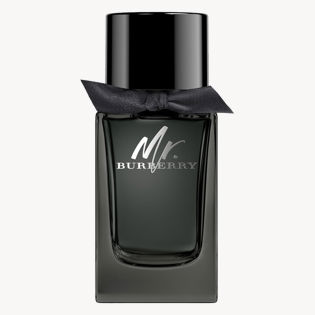 Mr. Burberry Eau de Parfum 100ml