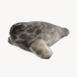 Lille Sælbamse Natur RINGSÆL
