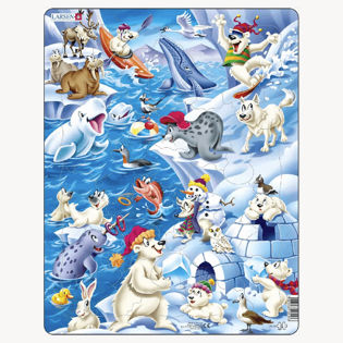 Puslespil Arktisk Is Cartoon