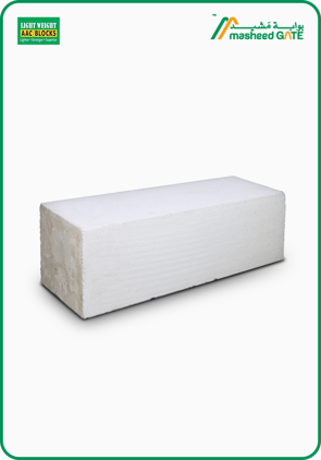 Light Weight AAC Block, White Block, Solid Block (60*20*20)