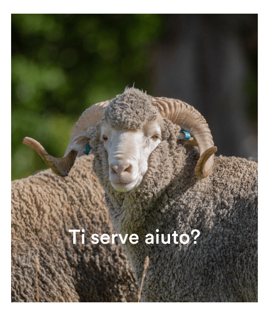 Help_533x625_with frame_with text_Ital.png