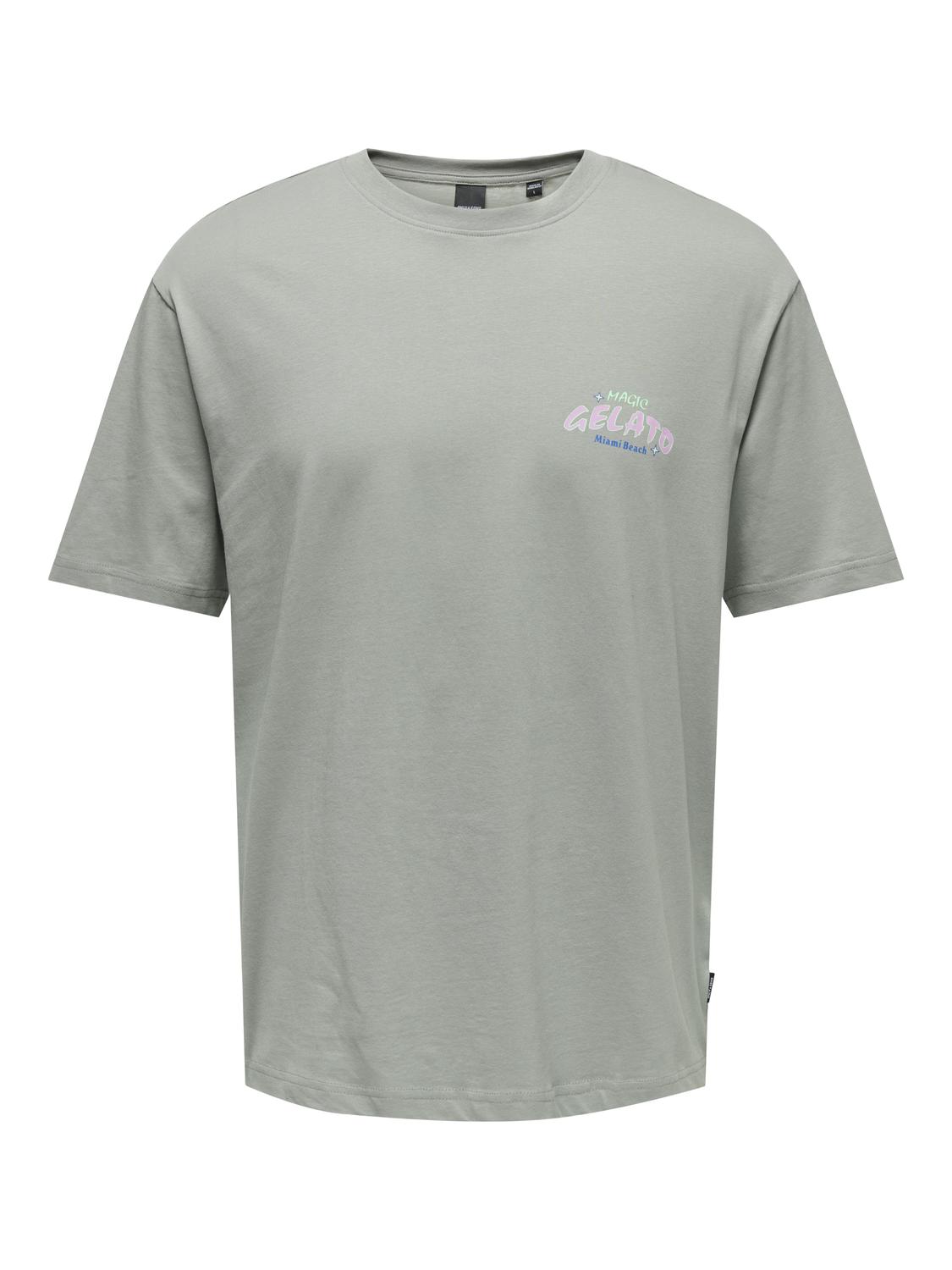 ONSKEANE RLX SS PRINT TEE NOOS