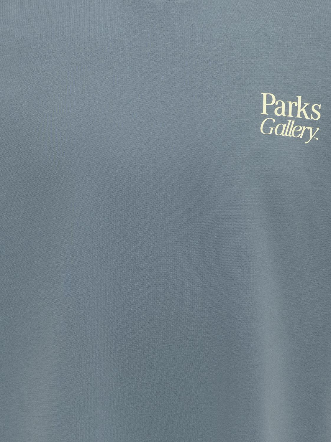 ONSPARKS GALLERY AIR BOXY SS TEE NOOS - 4