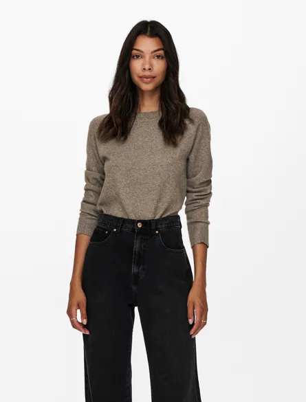 ONLRICA Strikket pullover med O-hals