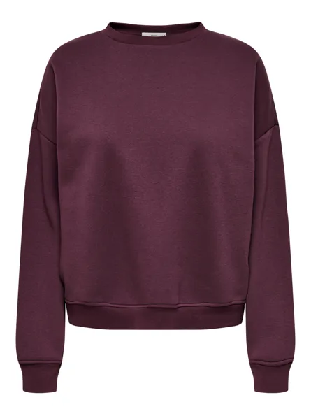 ONLSWEAT Sweatshirt