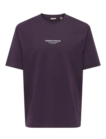 ONSCURATED RLX PRINT SS TEE NOOS