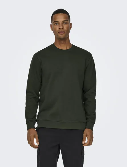 ONSCONNOR LIFE REG CREW NECK SWEAT NOOS