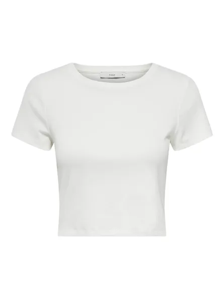 PGPAMMI Top