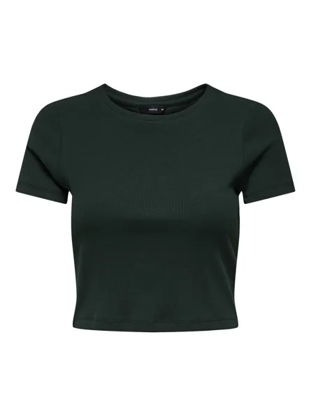 PGPAMMI Top