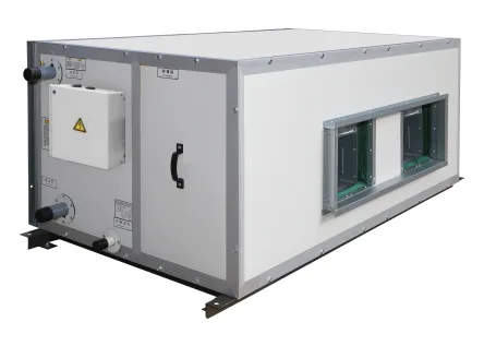 Ceiling Suspended Packaged Air Handling Unit