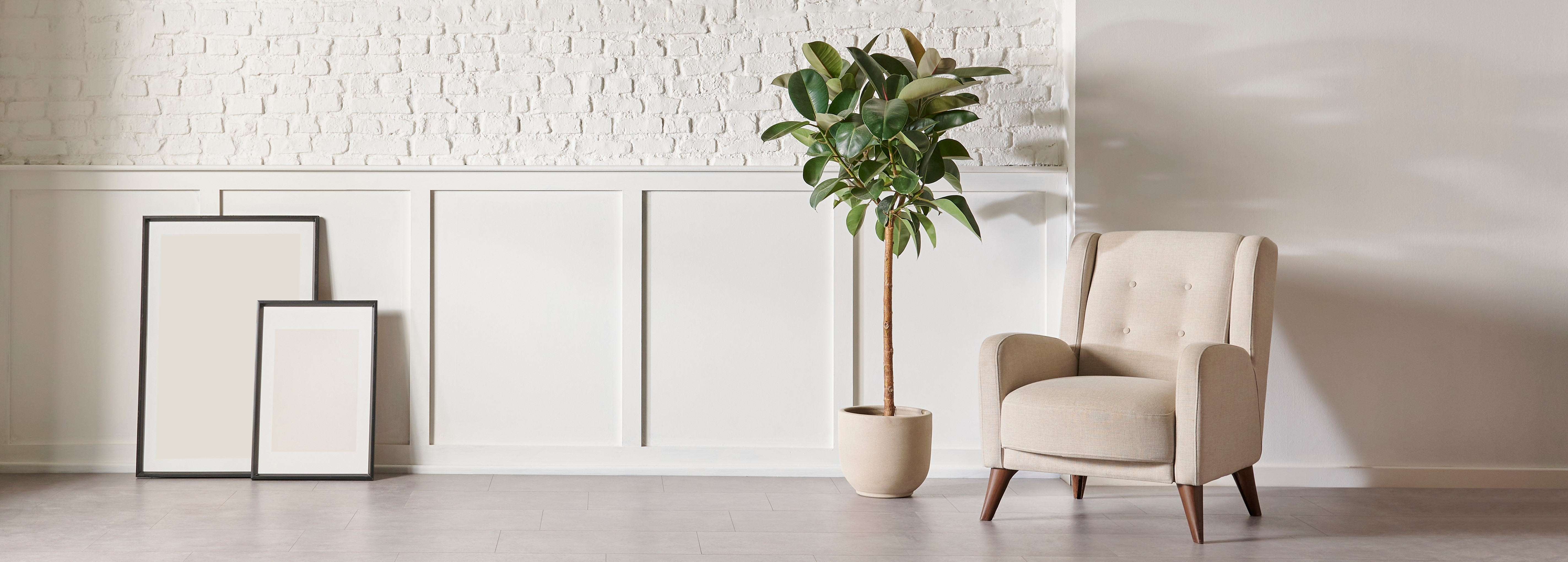 map-msc-active-image-MD54Mt