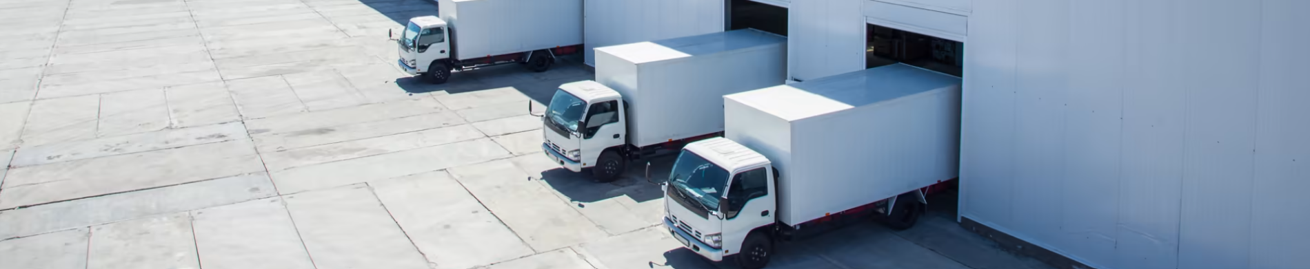 map-msc-active-image-MDArG