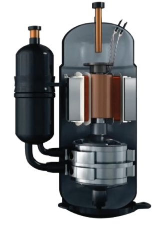 map-msc-active-image-MDq1h