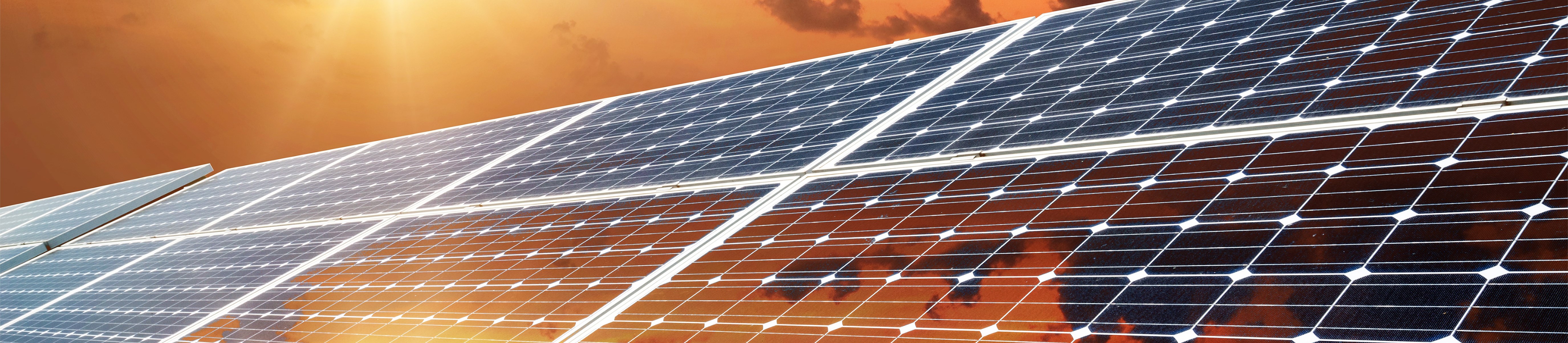 map-msc-active-image-MDsFM