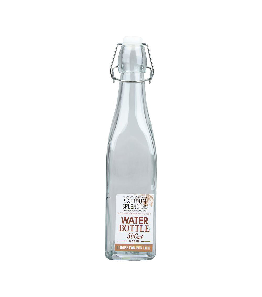 Glass Water Bottle with Swing-Top Cap, Clear (500 ml)