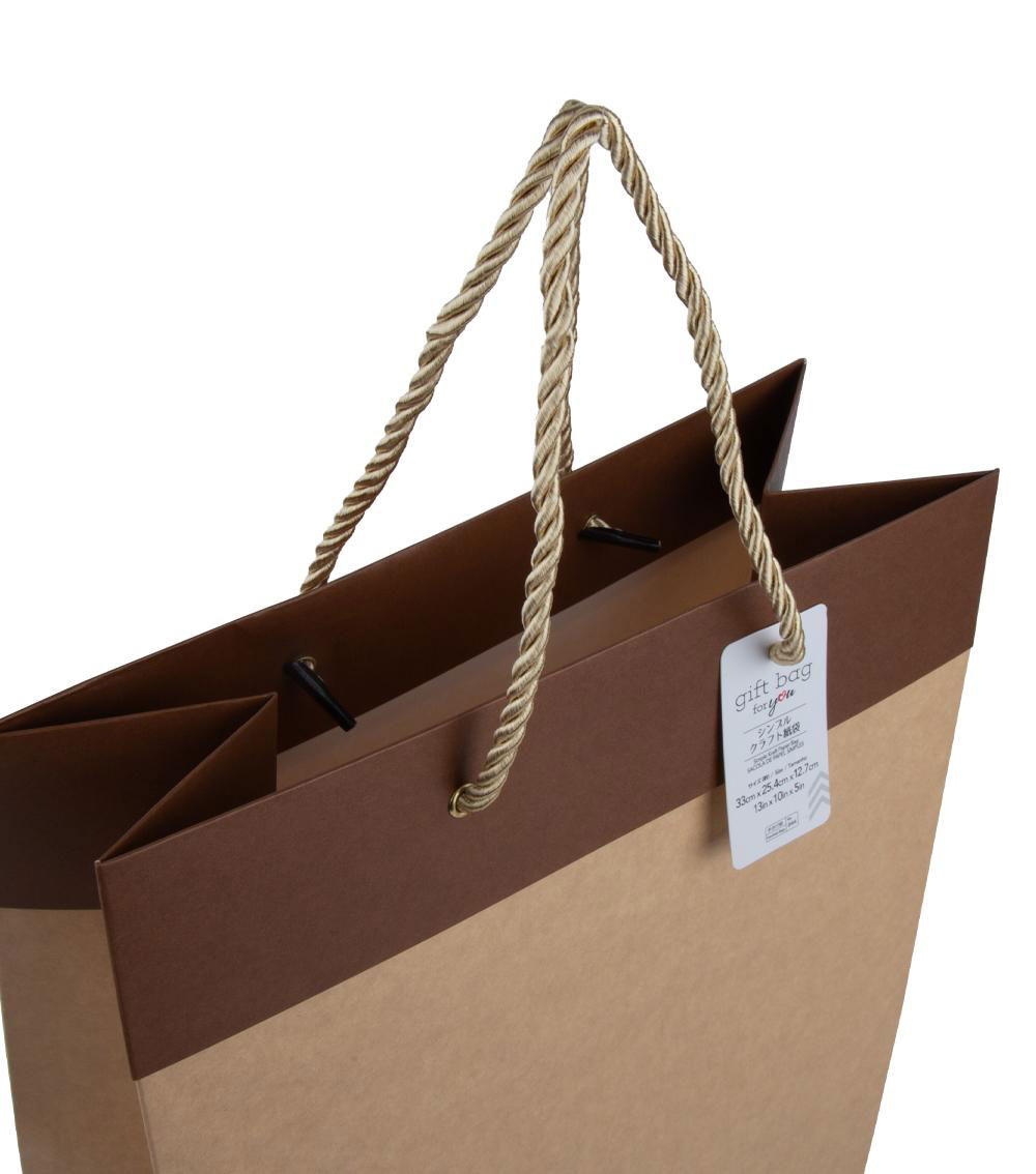 Simple Kraft Paper Bag, Assorted (1 pc)