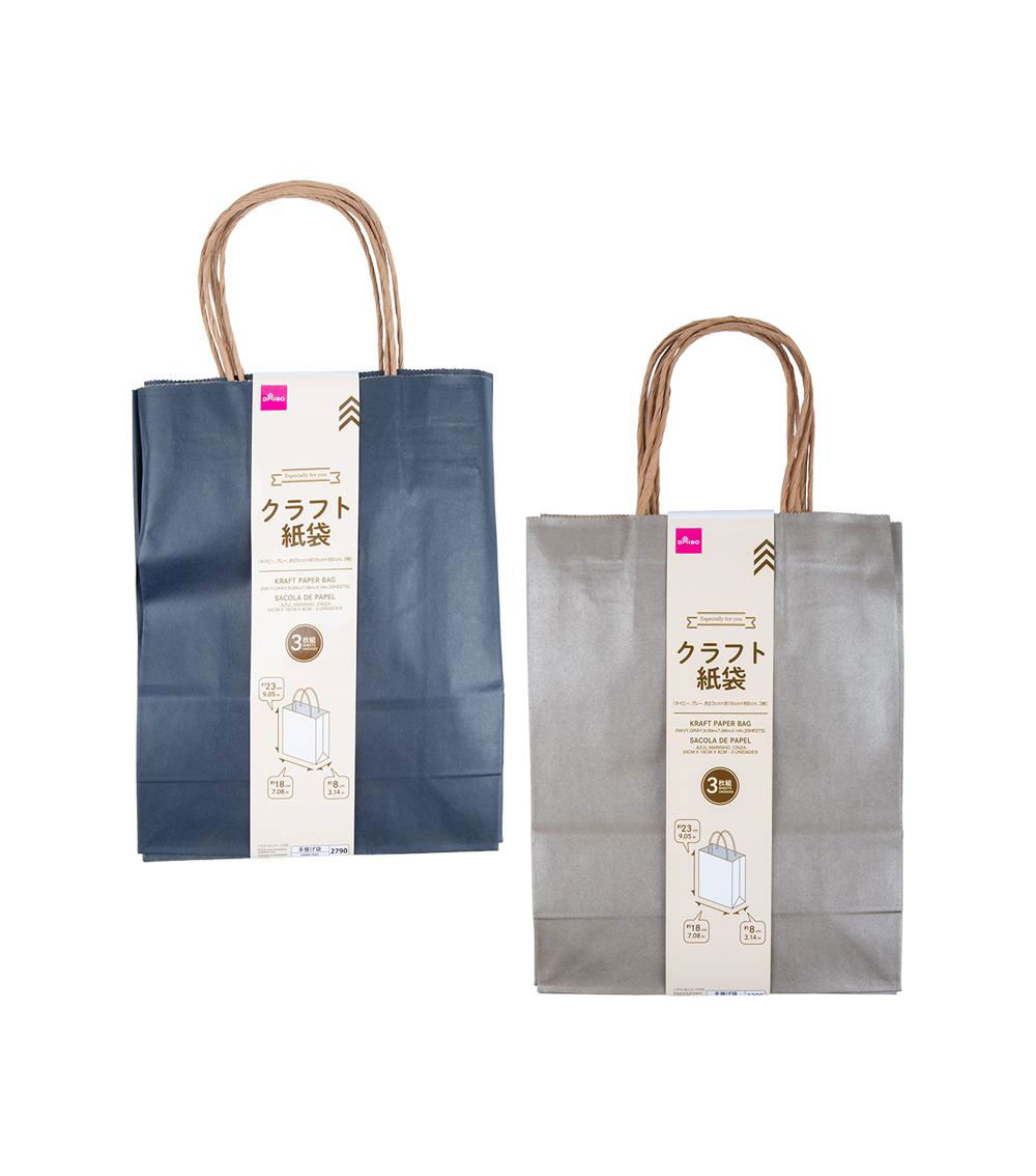 Kraft Paper Bags with Handles, Assorted (3 Sheets) - 23cm