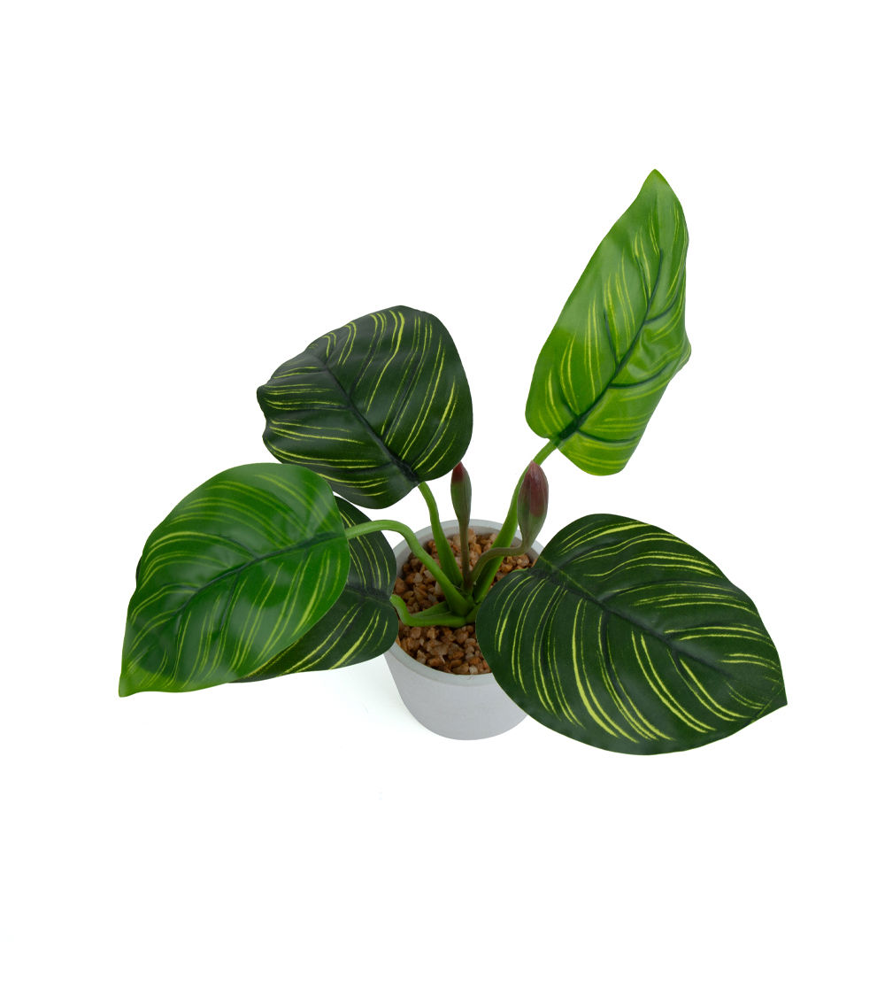 Leaf Pot, Light Green