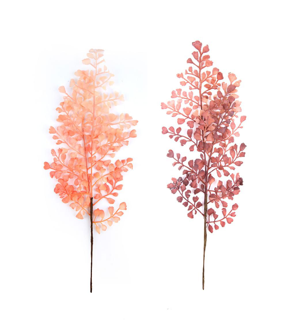 Color Asian Tam Pick, Assorted