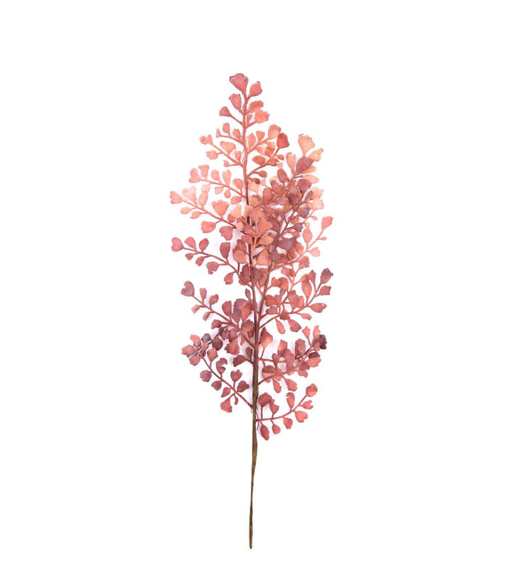 Color Asian Tam Pick, Assorted