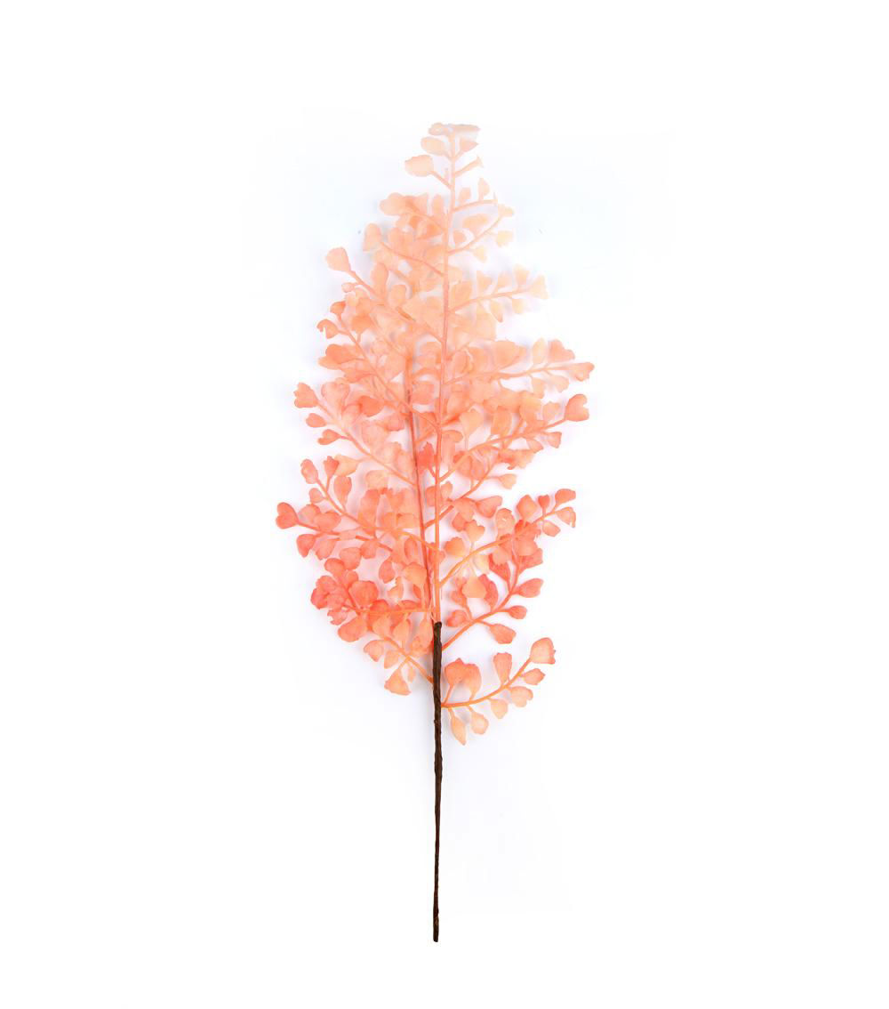 Color Asian Tam Pick, Assorted