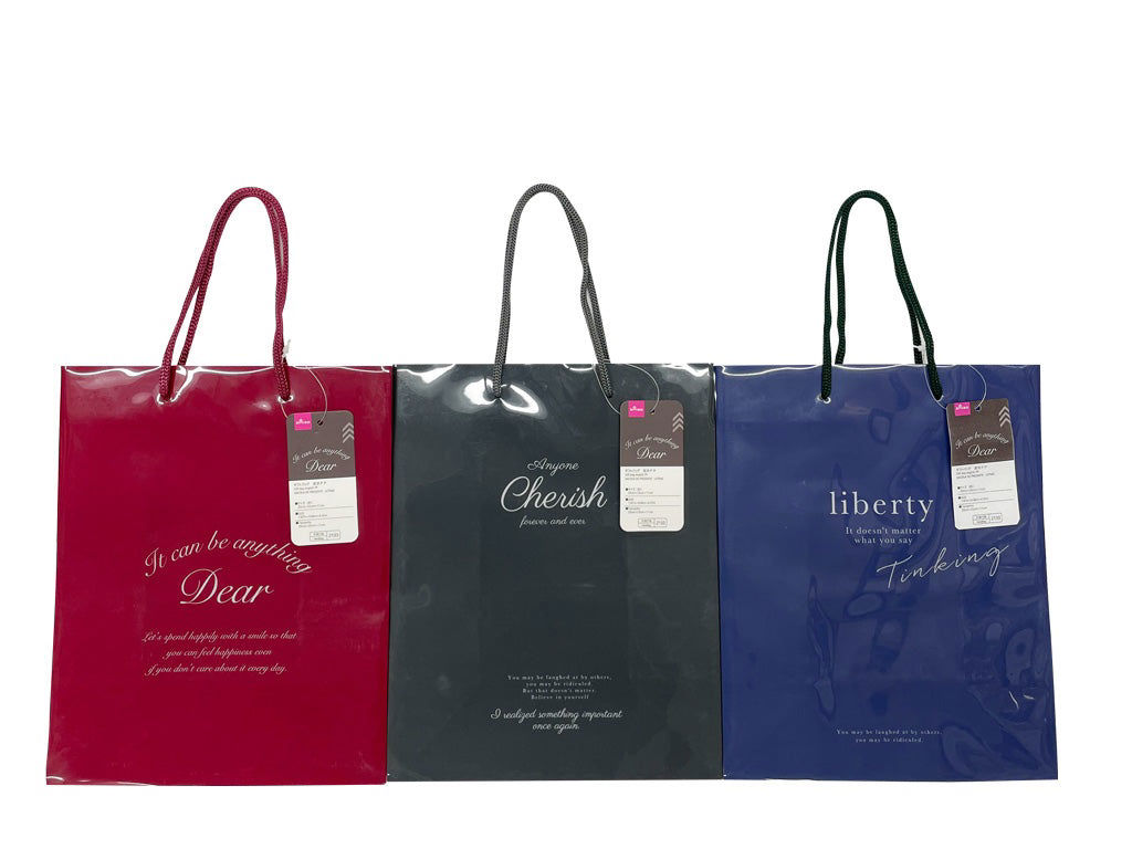 Gift Bag – 20 x 25 x 11 cm (Approx)