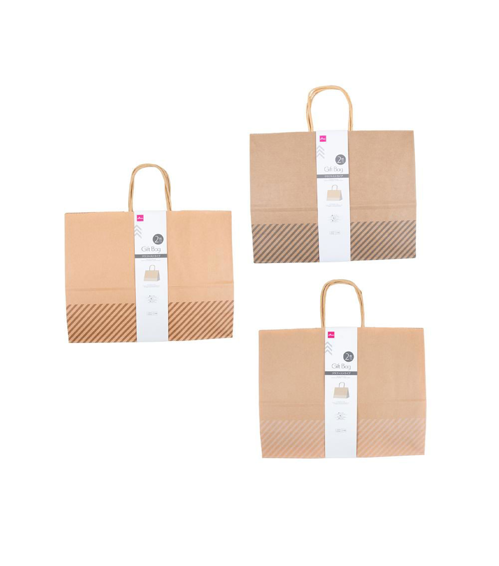 Craft Stripe Gift Bag Pack of 2, Assorted (1 pc) -32x25x11cm